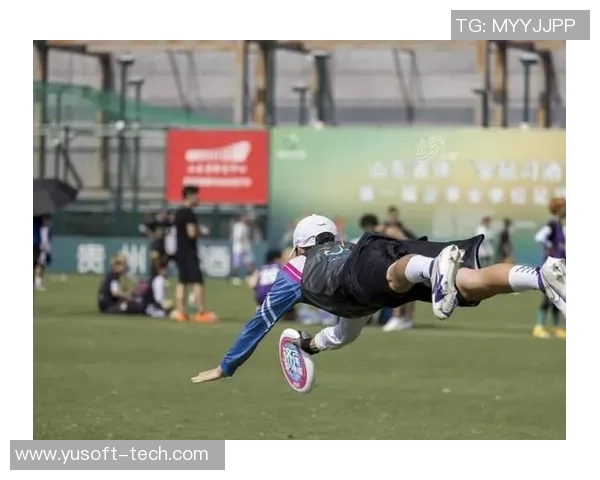 飞盘之路：见证上海飞盘队拼搏与团结的真实故事