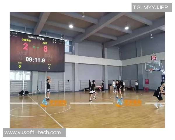 专访赵静：探寻篮球领域成功背后的秘密与智慧